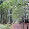 Quantock Hills