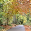 Everdon Stubbs in Autumn