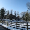 Podington