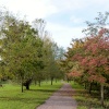 Taunton