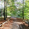 Conservation area, Kew Gardens