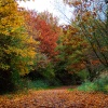 Kingsbury Water Park