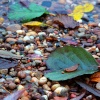 Kingsbury Water Park