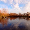The lake at Nidd, winter.