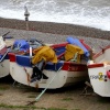 Crab Boats Ashore