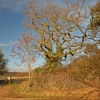 Rutland Water
