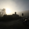 Misty Coalport 2