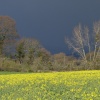 Stormy day in the Blackdown Hills, Somerset