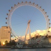 Big 'O' the London Eye