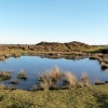 Quantock Hills