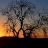Newnham Sunset