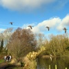 The flight