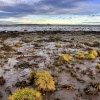 Holy Island, Northumberland