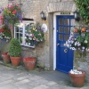 Stow on the Wold Flowers