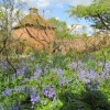 Eastcote house gardens