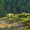 Evening Sun on the Bank, River Wye, Chepstow.