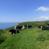 Osmington Mills