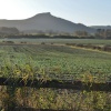 Roseberry Topping Great Ayton