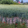 Atherstone