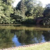 A quiet lake at Cannon Hill Park, Birmingham