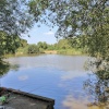 The Stew Pond- Epsom Common