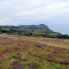 Charmouth