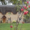 Podington Village