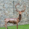 The Kidwelly Stag