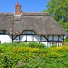 Cottage in Summer