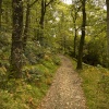 Skelghyll Wood 2