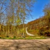 Stour Valley Spring, North Dorset.
