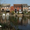 Swan's nest at View Island, Caversham