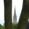 Salisbury Cathedral