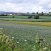 Budleigh Salterton