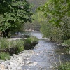 Mires Beck,