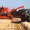 Harvesting, nr Acton Turville, Gloucestershire 1983