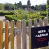 Chapel Down Winery Herb Garden