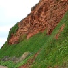Budleigh erosion
