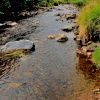River Breamish, Ingram