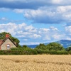 A cottage at Downton on the Rock with Clee Hill in the background.