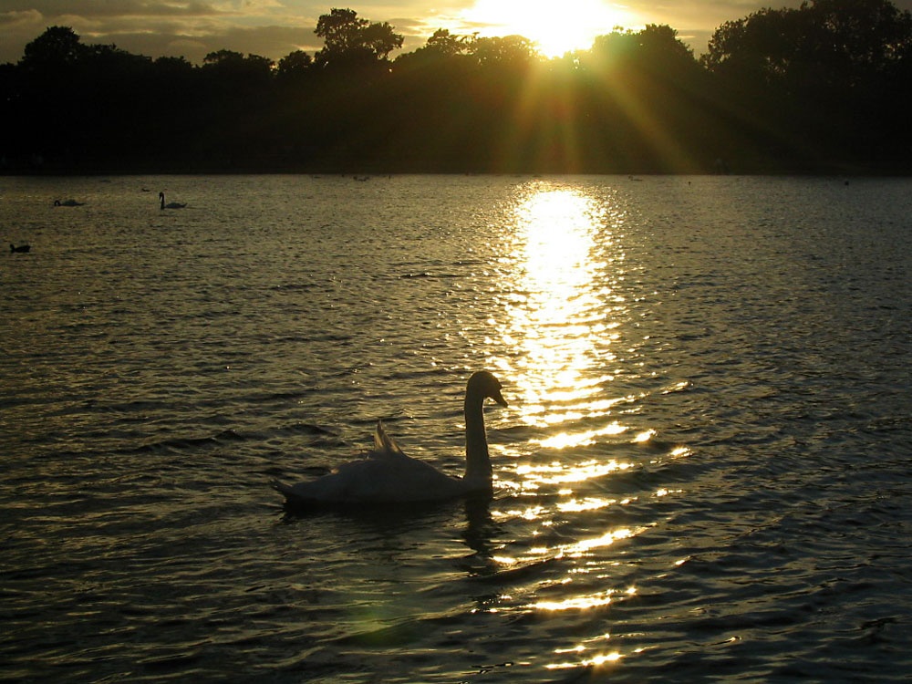 Sunset over the Serpentine, Hyde Park, London