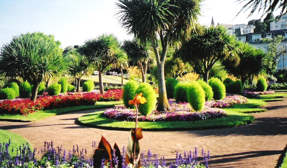 Sub tropical gardens in Torquay, Devon