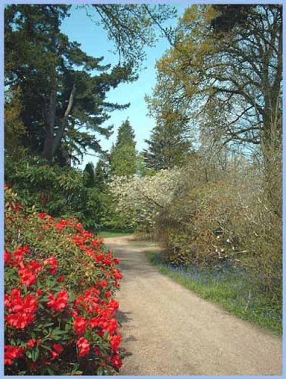 Pathway at Exbury Gardens