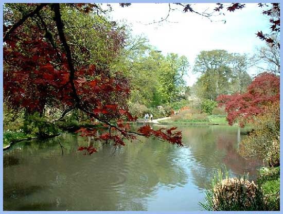 Pond at Exbury Gardens