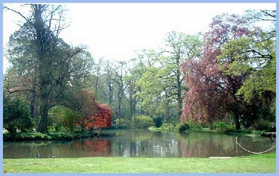 Pond at Exbury Gardens