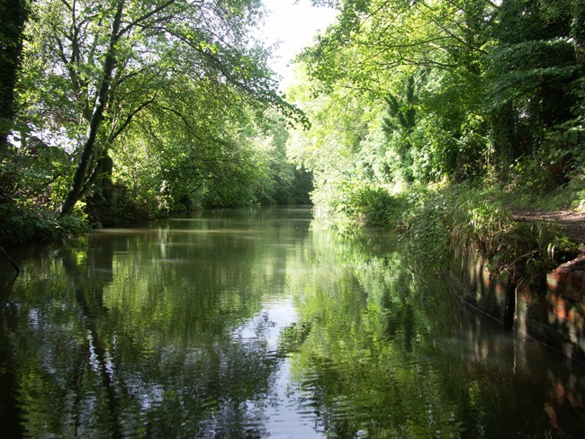 Basingstoke Canal, Surrey