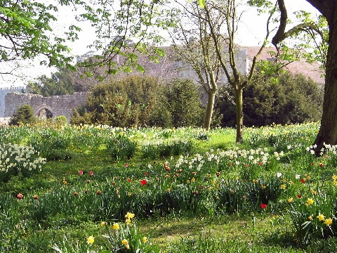 Garden at Leeds Castle