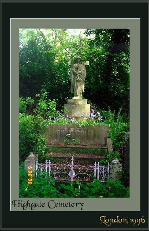 one of the many many angels that grace the landscape in Highgate Cemetery