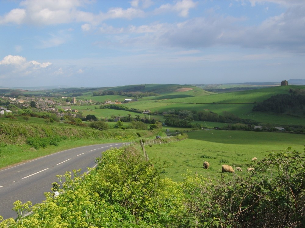 A picture of Abbotsbury