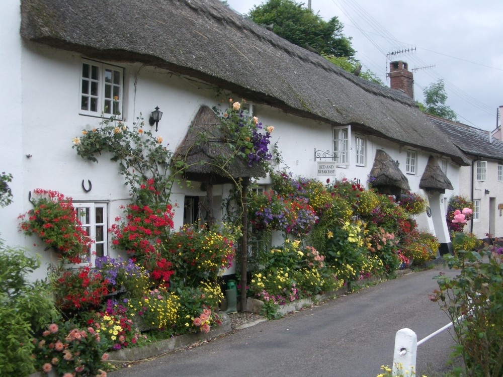 Cottage in Branscombe, Devon